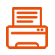 Print 1099 DIV Forms